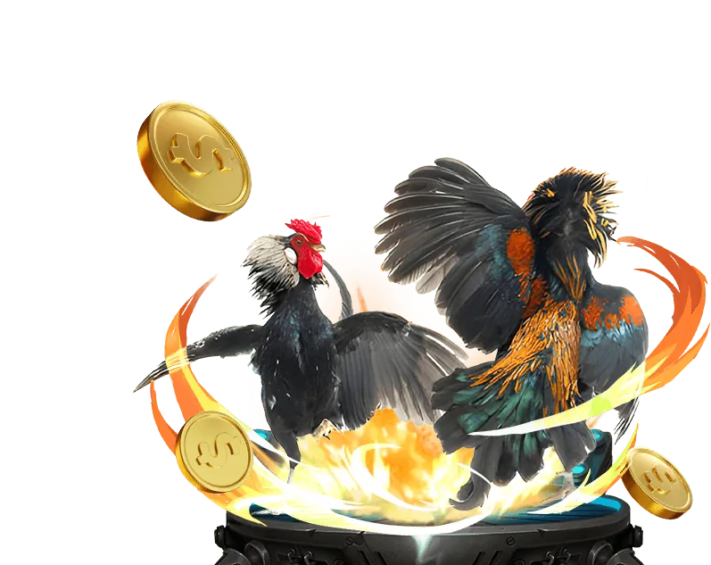 Các loại khuyến mãi 1xBet